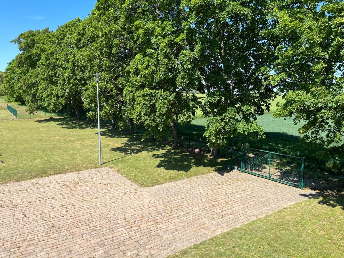 Osrodek Konferencyjno-Wypoczynkowy Hostel Chojna Bagian luar foto