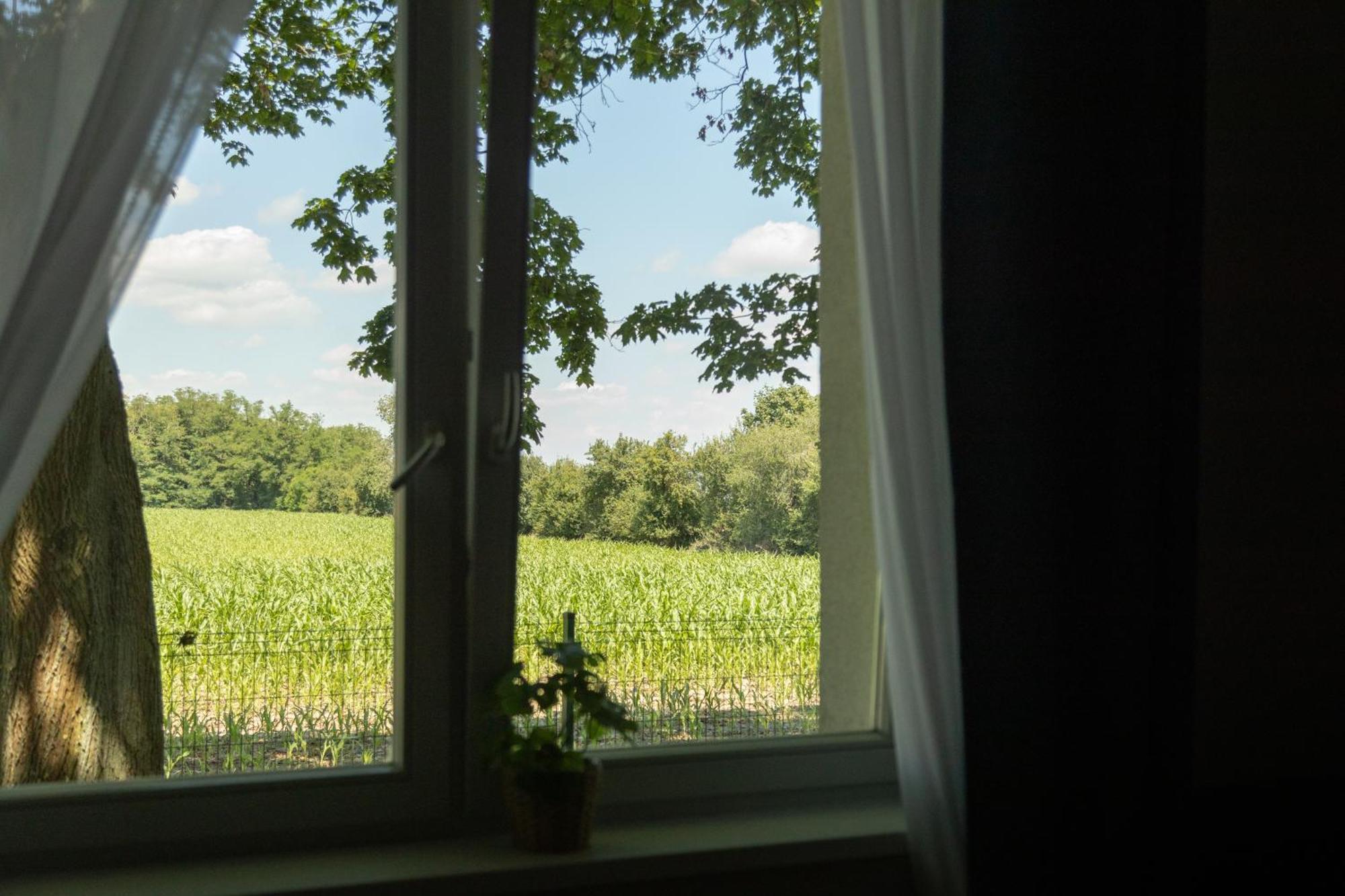 Osrodek Konferencyjno-Wypoczynkowy Hostel Chojna Bagian luar foto